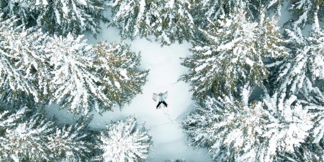 Promenade dans les sapins une personne se jette dans la neige fraîche dans la station des 2 Alpes