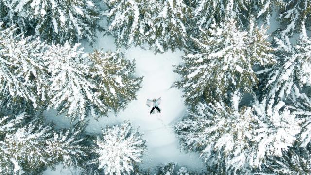 Promenade dans les sapins une personne se jette dans la neige fraîche dans la station des 2 Alpes