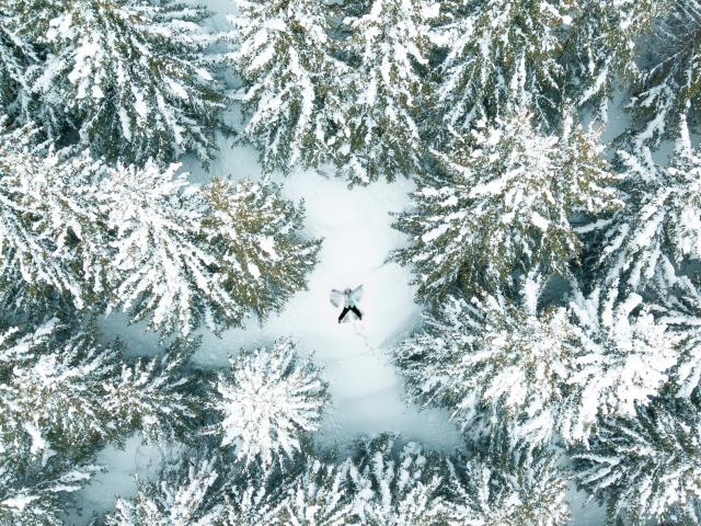 Promenade dans les sapins une personne se jette dans la neige fraîche dans la station des 2 Alpes