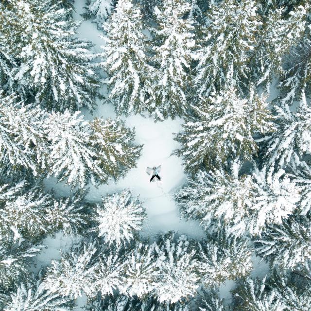 Promenade dans les sapins une personne se jette dans la neige fraîche dans la station des 2 Alpes