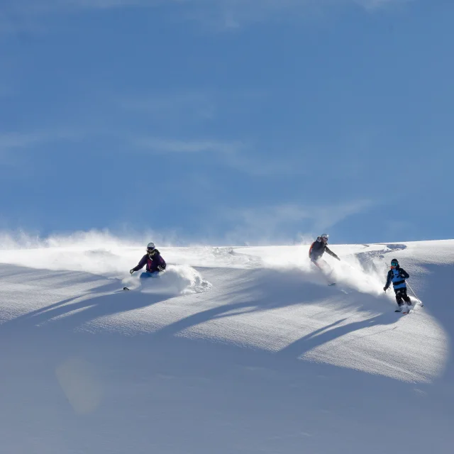 ski amis poudreuse les deux alpes