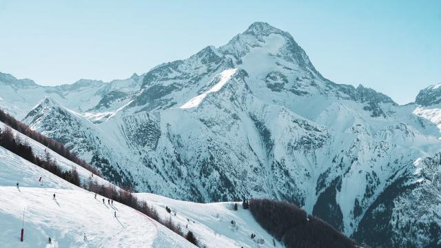 les-2-alpes-majestueuse-muzelle.jpg