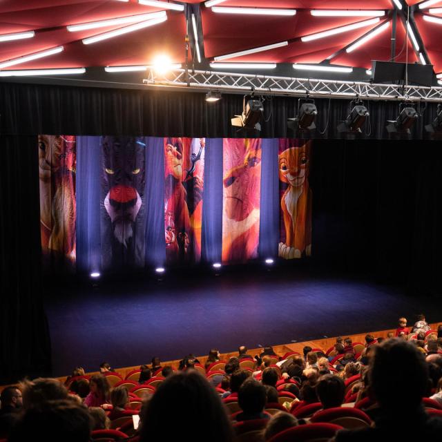 spectacle-Palais-des-Sports.jpg