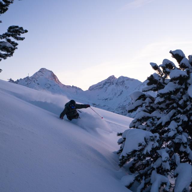 Les 2 Alpes Ski Poudreuse