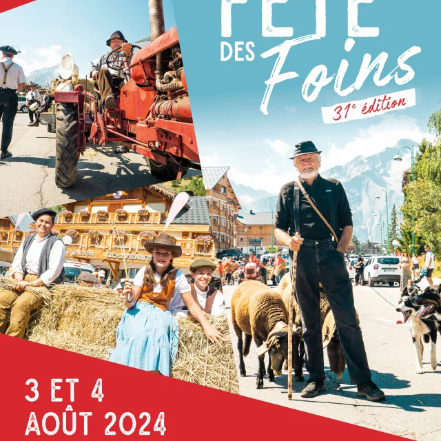 Affiche-Fetedesfoins_E24.jpg