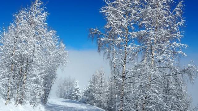 sentier-mer-de-nuage.jpg